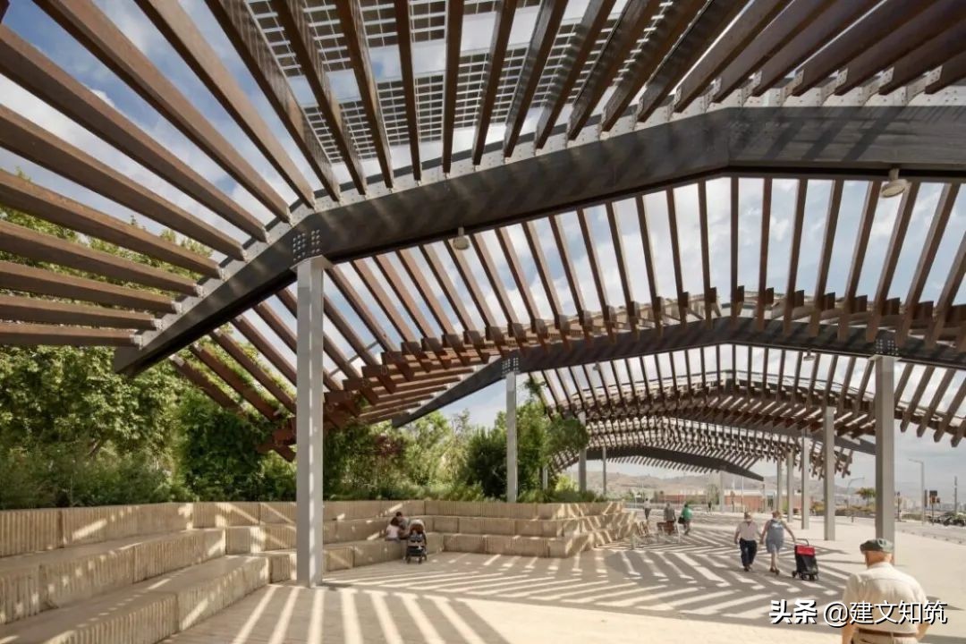 waf2023世锦赛,waf国内排名