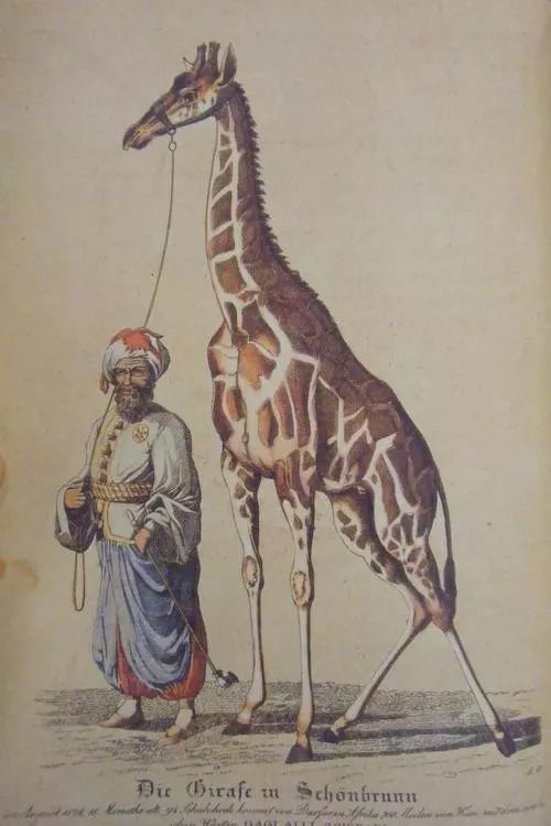 肯尼亚人祖先的迁徙路线,肯尼亚是人类发源地之一么