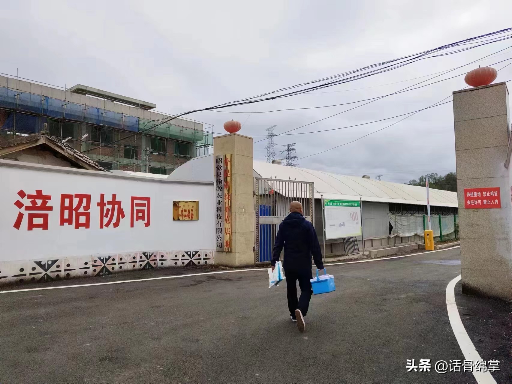 姹熸补骞虫鑱斿姩鍙戝睍,缁甸槼姹熸补鍗忓悓鍙戝睍