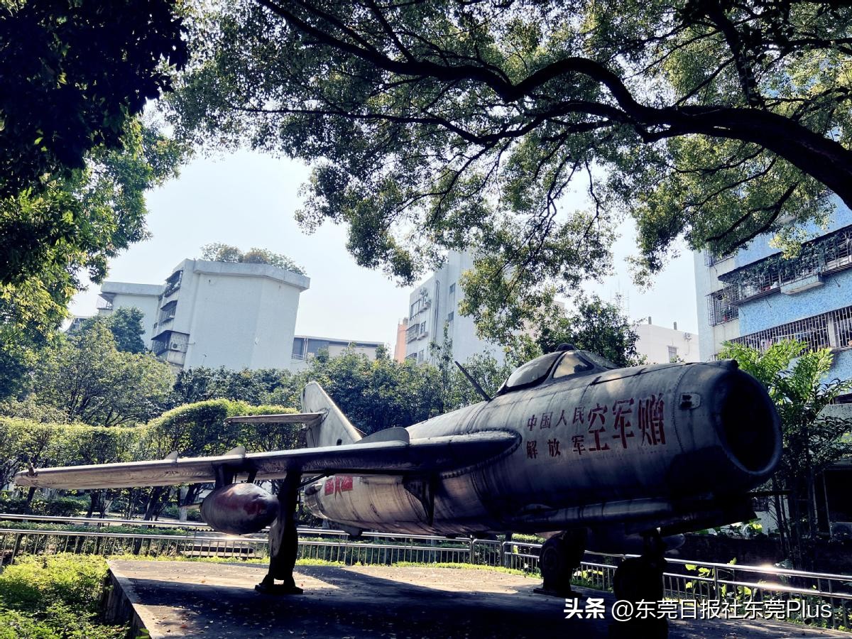 东莞人民公园真美,东莞人民公园故地重游