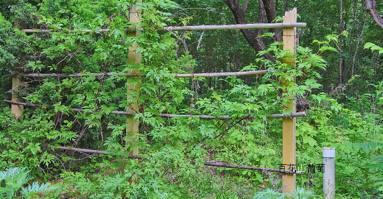 海康威视摄像头守护功能,海康威视在北京什么地方