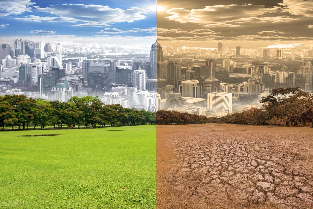 全球气候变化对农业的影响和对策,气候变化对农业生产的影响