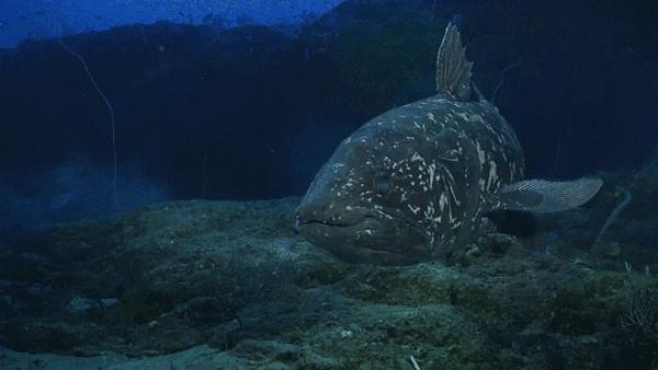 世界是《信条》，还是一个深渊