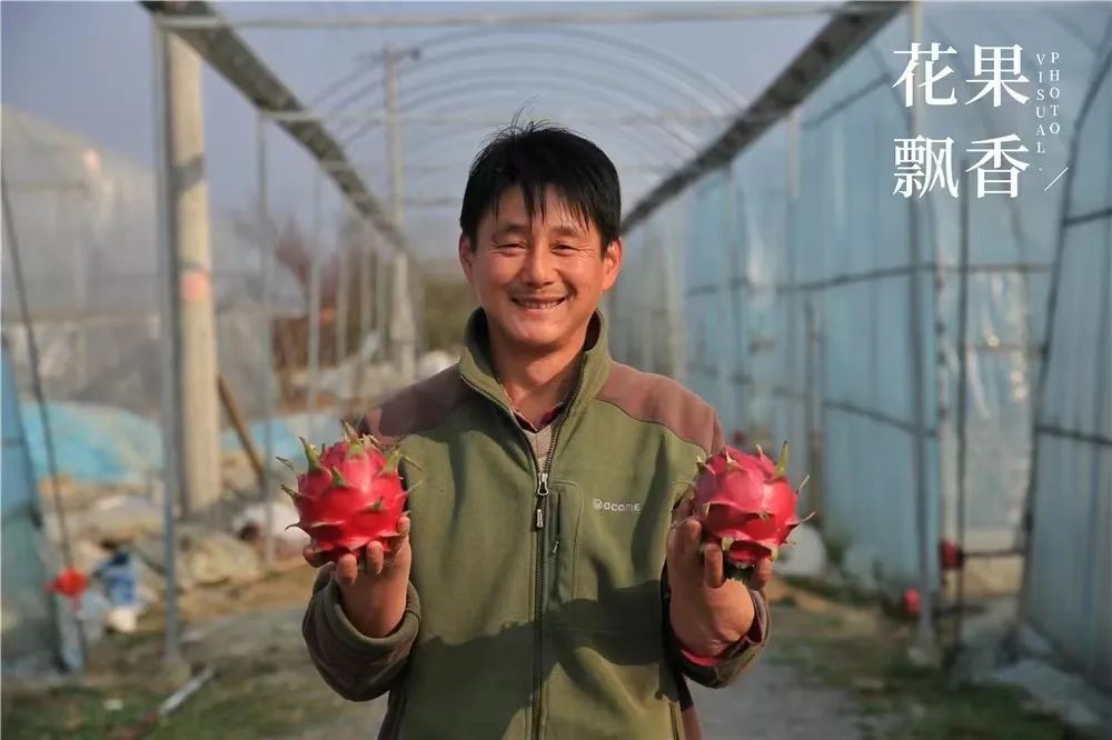 北方百果园种植种类,百果园水果品种介绍