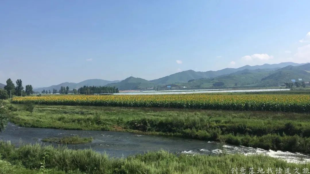 乡村振兴100讲全集,100个经典乡村振兴案例