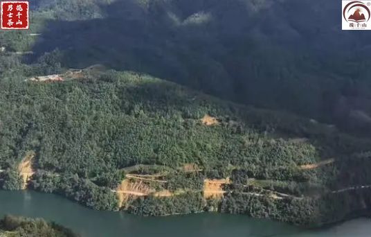 藤茶第一村,邦改藤茶基地