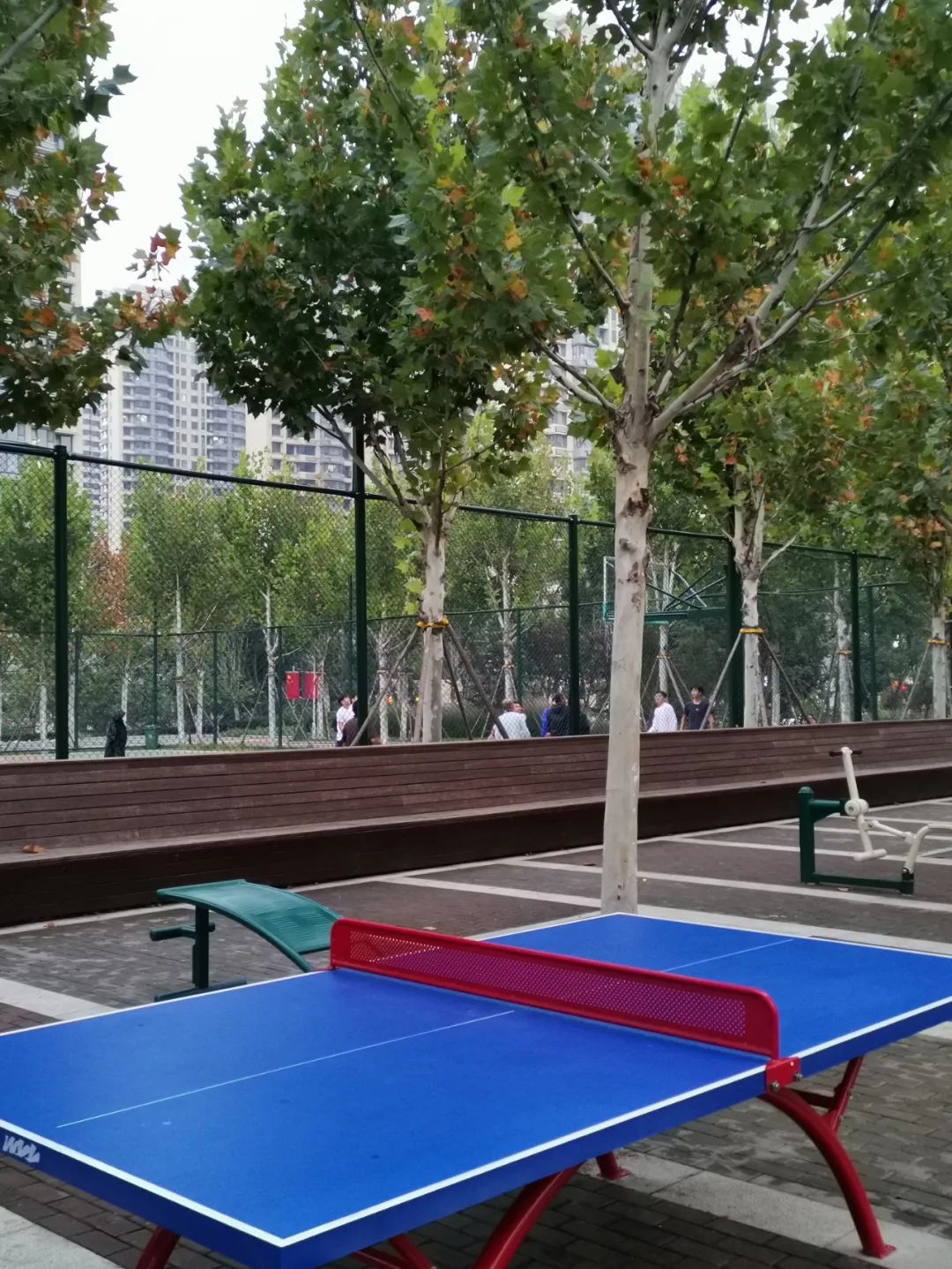 济南四大免费公园,济南小公园游玩攻略