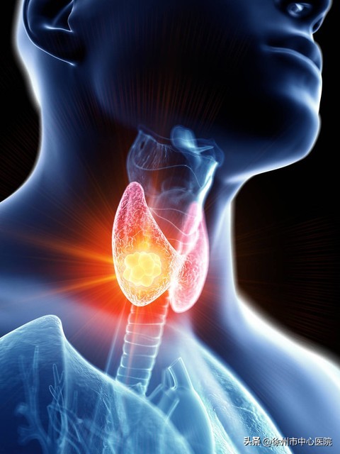 营养摄入不足和过多的危险性图解,营养摄入不足