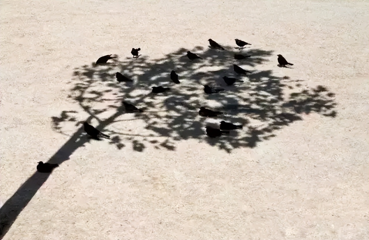 一图了解这个夏天到底有多热,一张图说明今年夏天有多热