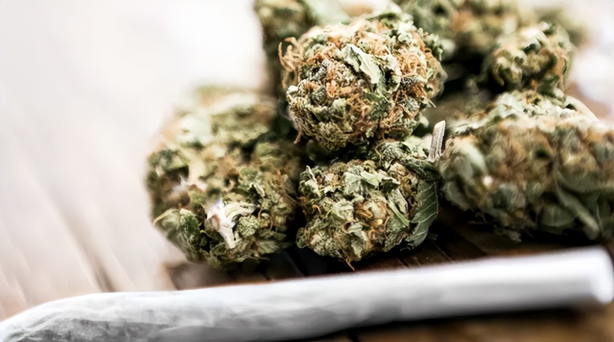 可怕！中国女留学生帮朋友带行李，入境就被判2年！