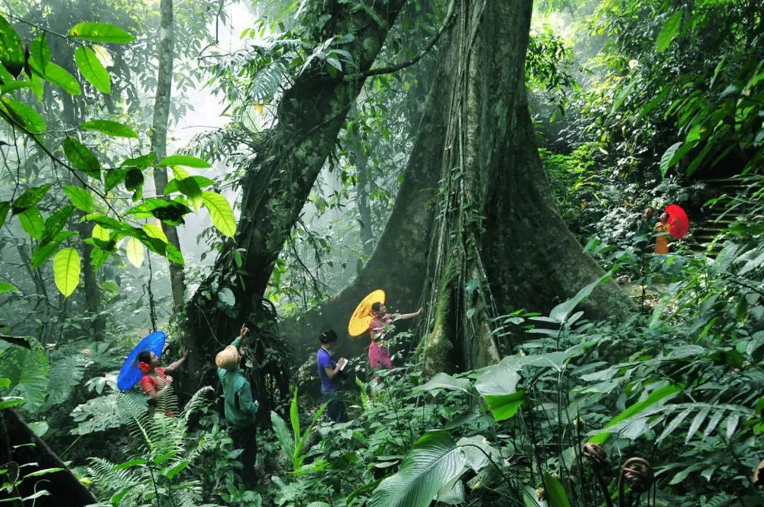 东南亚风情版纳攻略,西双版纳东南亚游