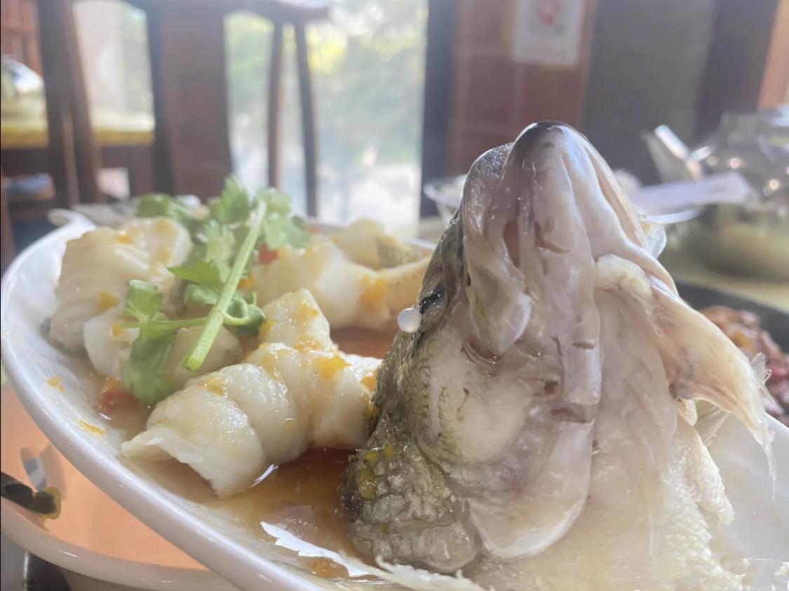 长沙经典湘菜老字号,长沙好吃的湘菜家常菜哪家正宗