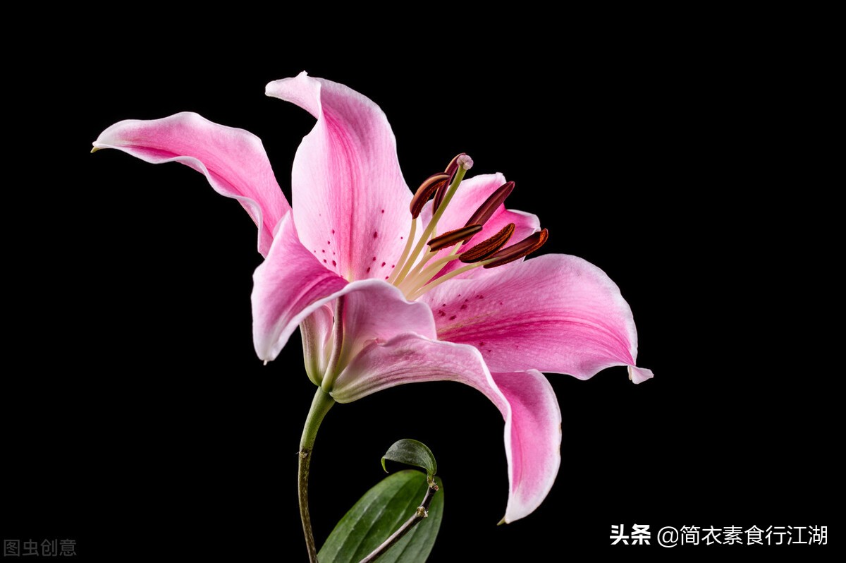 她做保姆这些年之豪门生活全集,她做保姆的这些年豪门生活之八