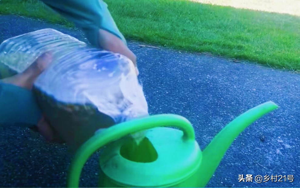 自制的黄豆肥使用方法,黄豆发酵液体肥效果