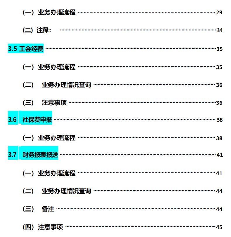 一般纳税人申报的基本操作细节流程,纳税技巧与申报实训报告