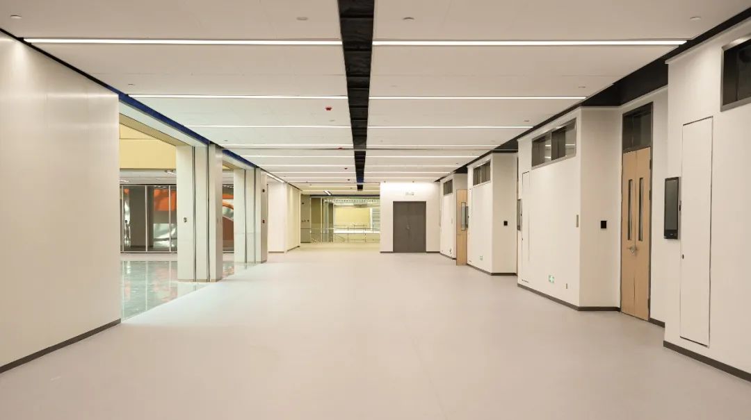 鲤跃龙门|在深圳市华朗学校邂逅名师,全面提升综合素质