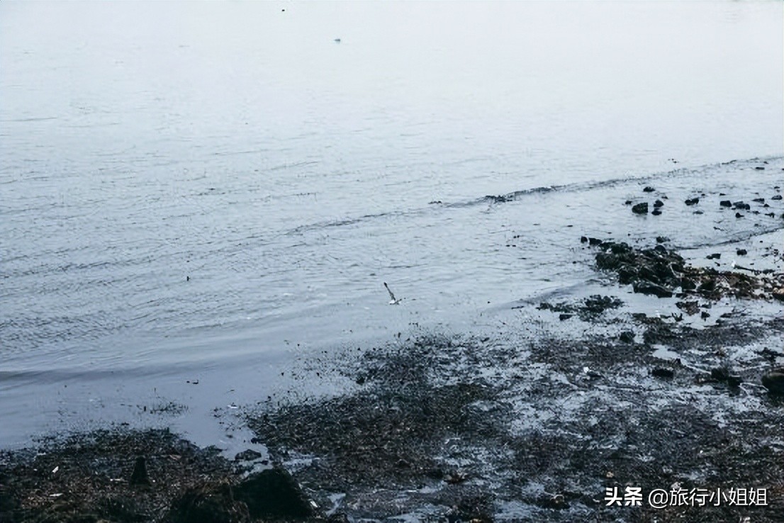 夏日海边微醺氛围感,滨城风光秀丽浪漫气息爆表