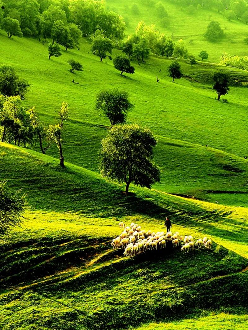 关山牧场可以住宿吗,宝鸡关山牧场住宿怎么样