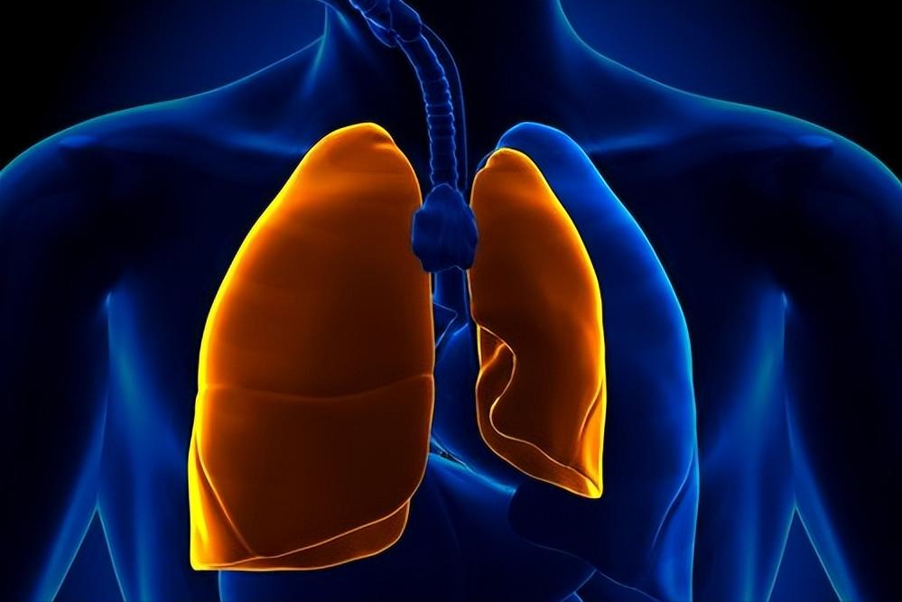 痰瘀阻络中风疏通经络中药方,中医治疗肺炎的临床效果