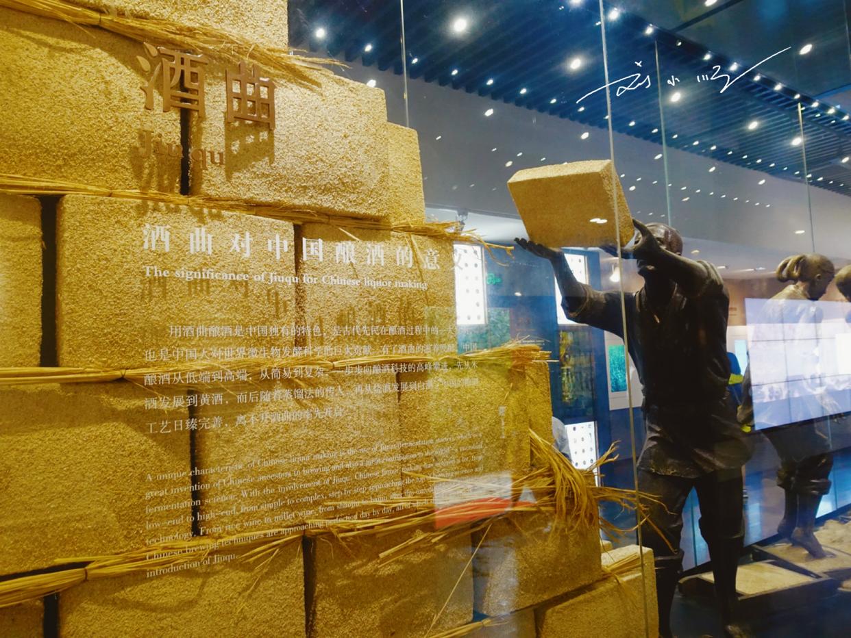 贵州有哪些地方是世界第一,贵州珍酒旅游景点大全