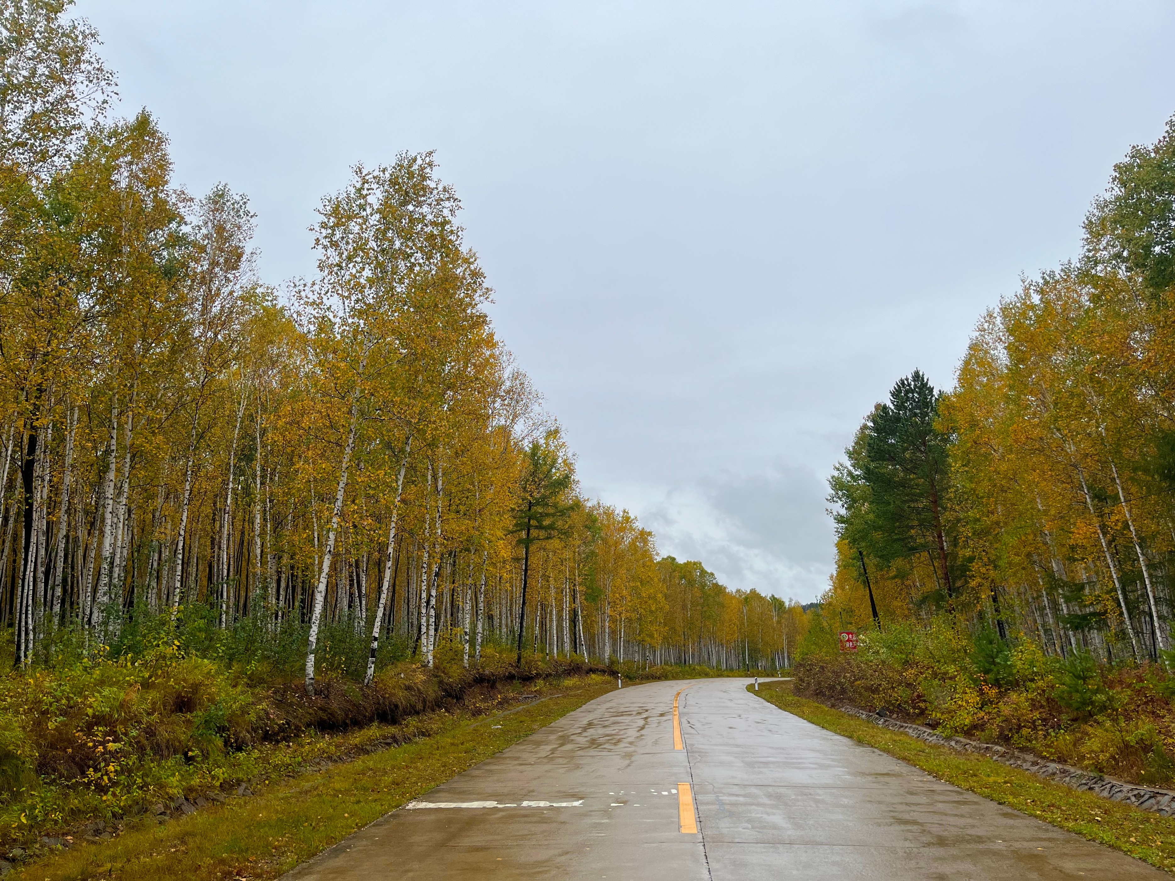 夫妻自驾11000公里,夫妻两人自驾游最新视频