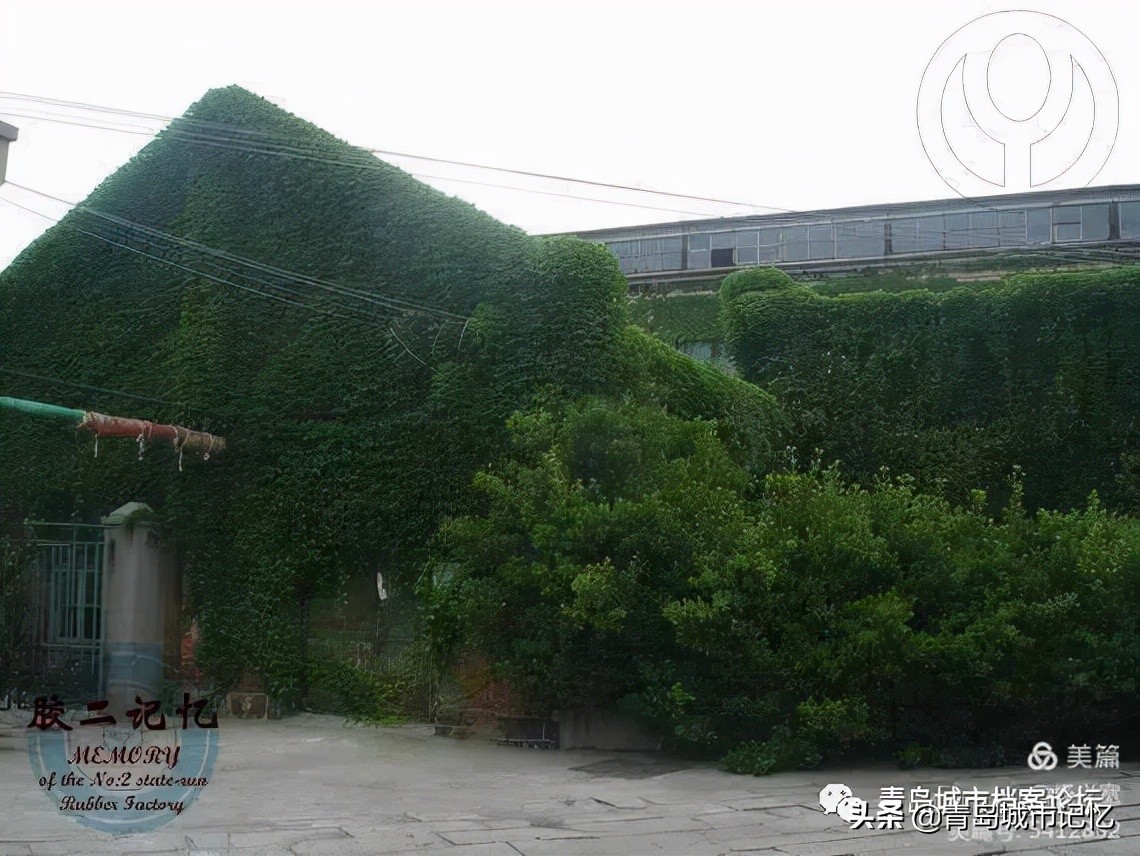 橡胶二厂现状如何,无锡第二橡胶老厂在哪里
