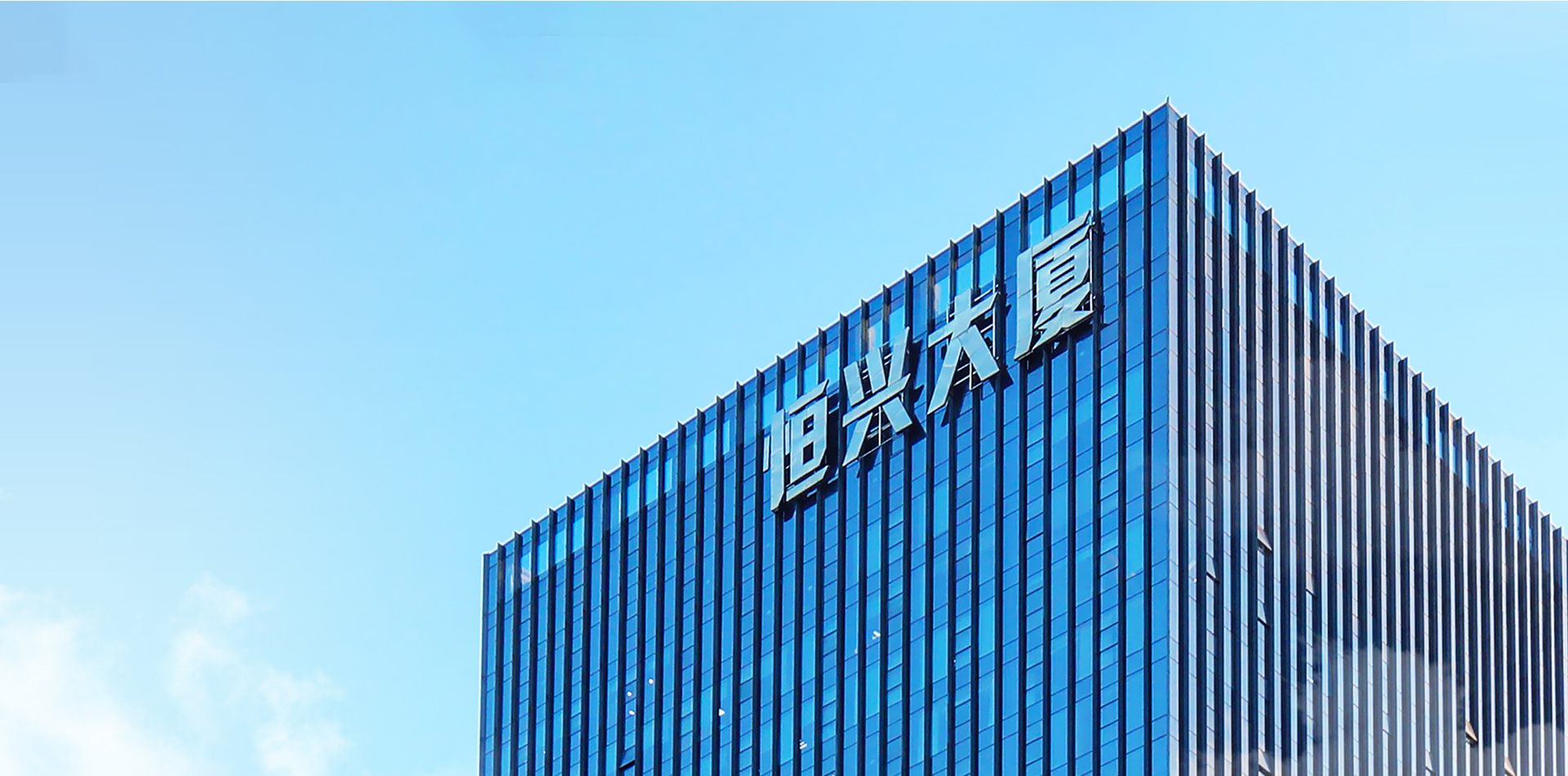 广东恒兴饲料实业股份有限公司,广东恒兴饲料实业有限公司湛江