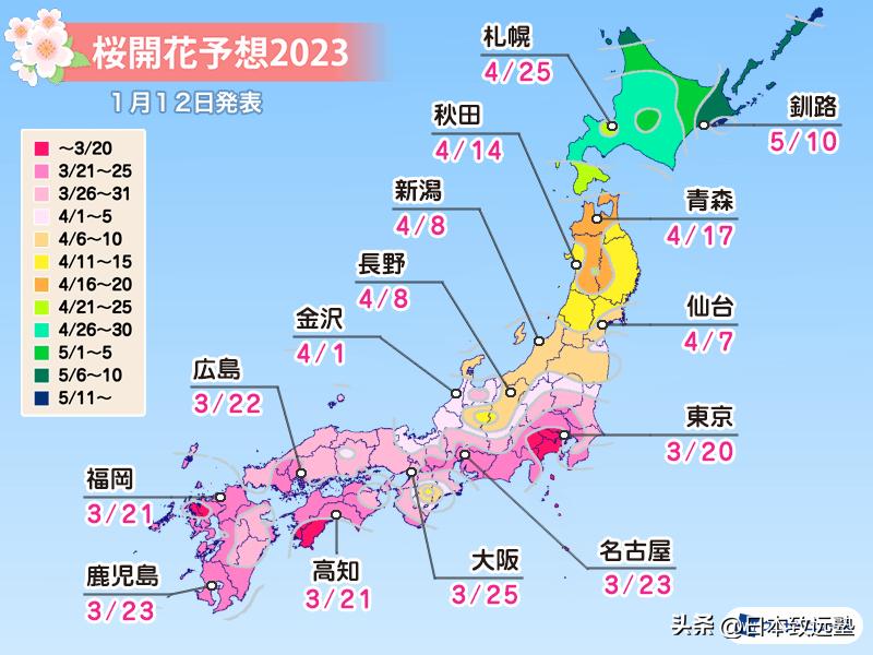 东京赏樱不完全攻略,2023年东京赏樱攻略