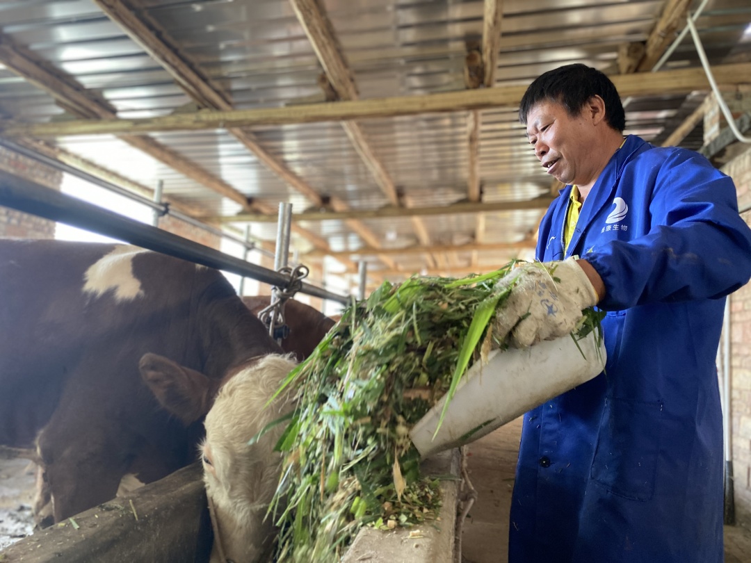 “养殖能手”汤安友：用勤劳的双手编织幸福人生