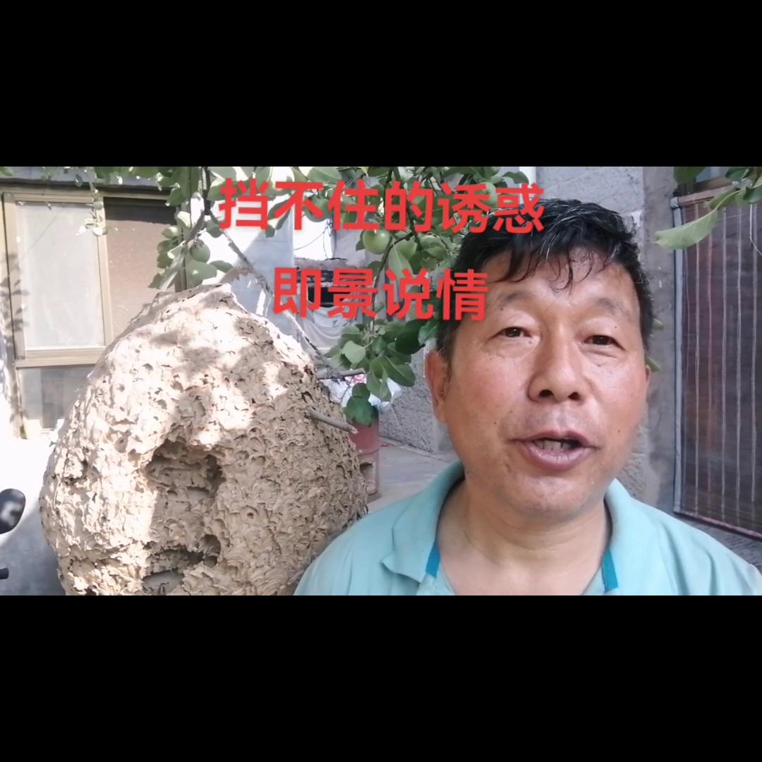 夫妻间最好的礼物该是什么呢,夫妻之间最珍贵的礼物是彼此