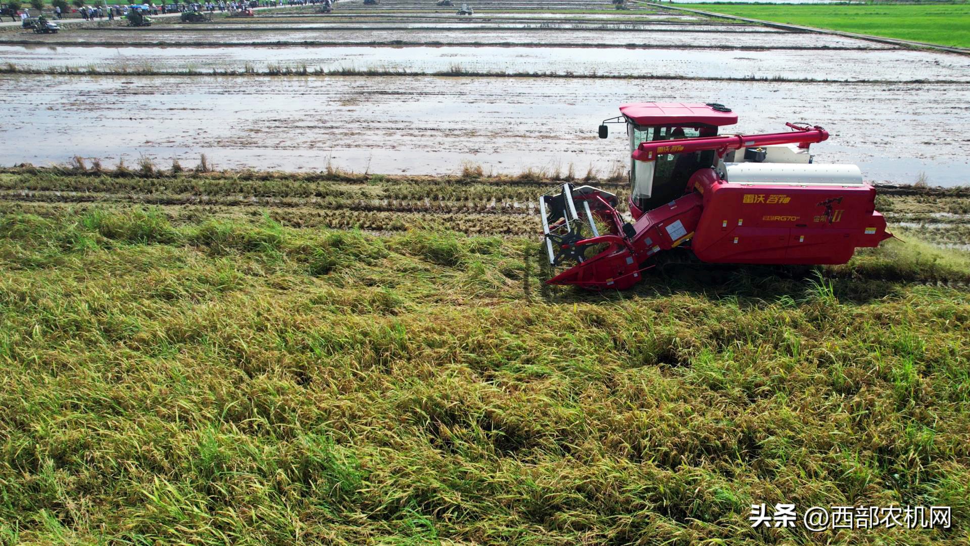 雷沃谷神领航rg70h金刚版,雷沃谷神超越版2018履带型
