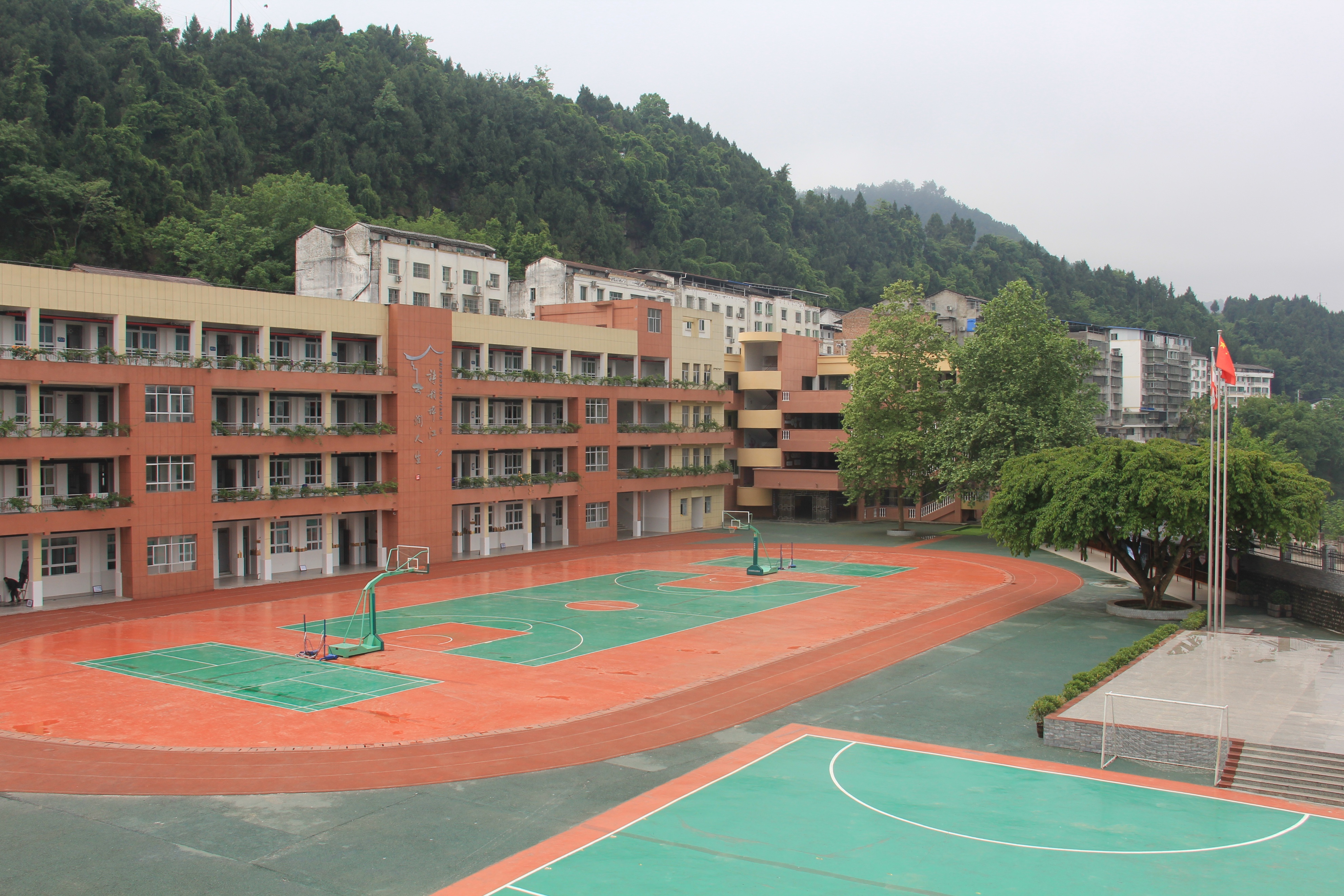 苍溪县歧坪中心小学,歧坪小学社团