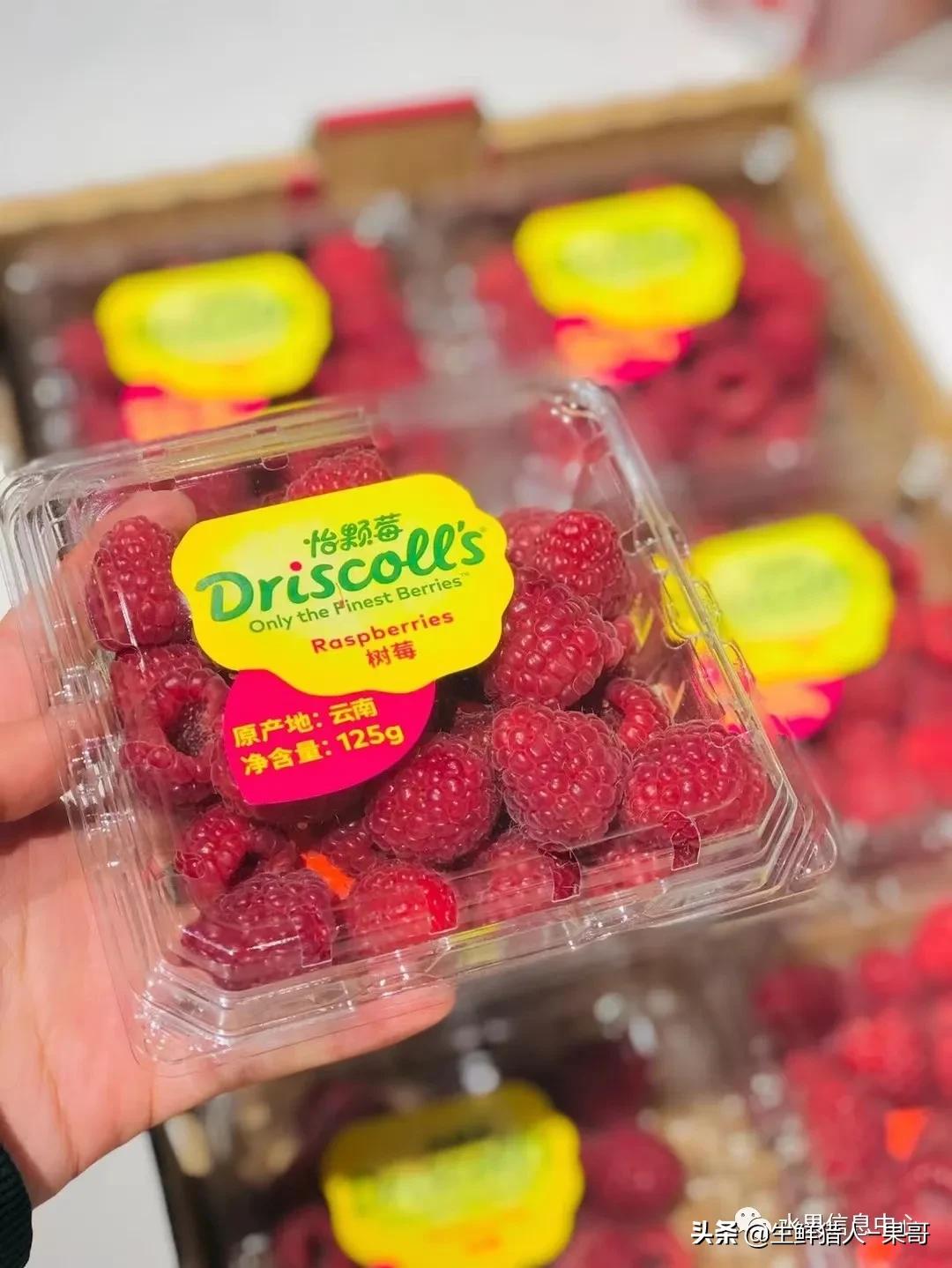 在水果中浆果是分哪几种,水果分类浆果