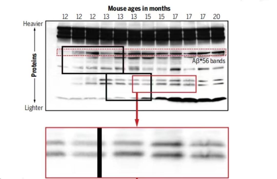 science提出的125个突出科学问题,science研究论文