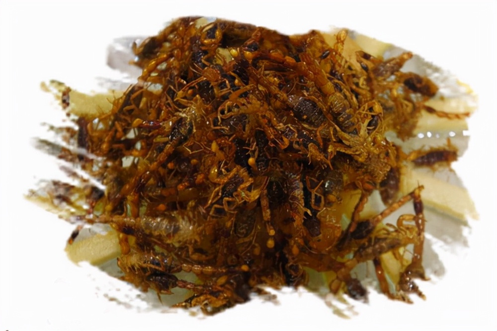 兴安盟的特色美景,兴安盟的风景