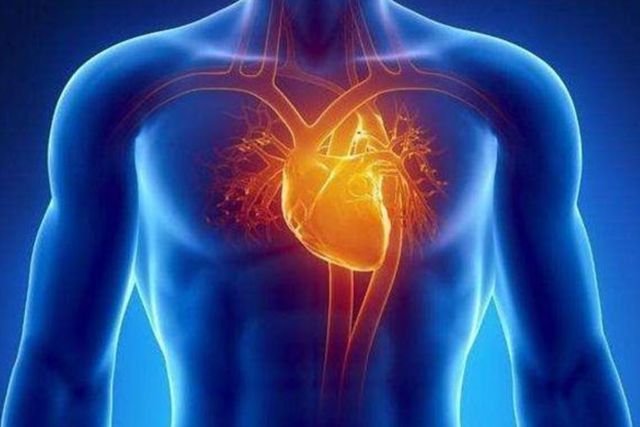 基于“阴病治阳”理论，探析针刺法治疗冠心病的作用