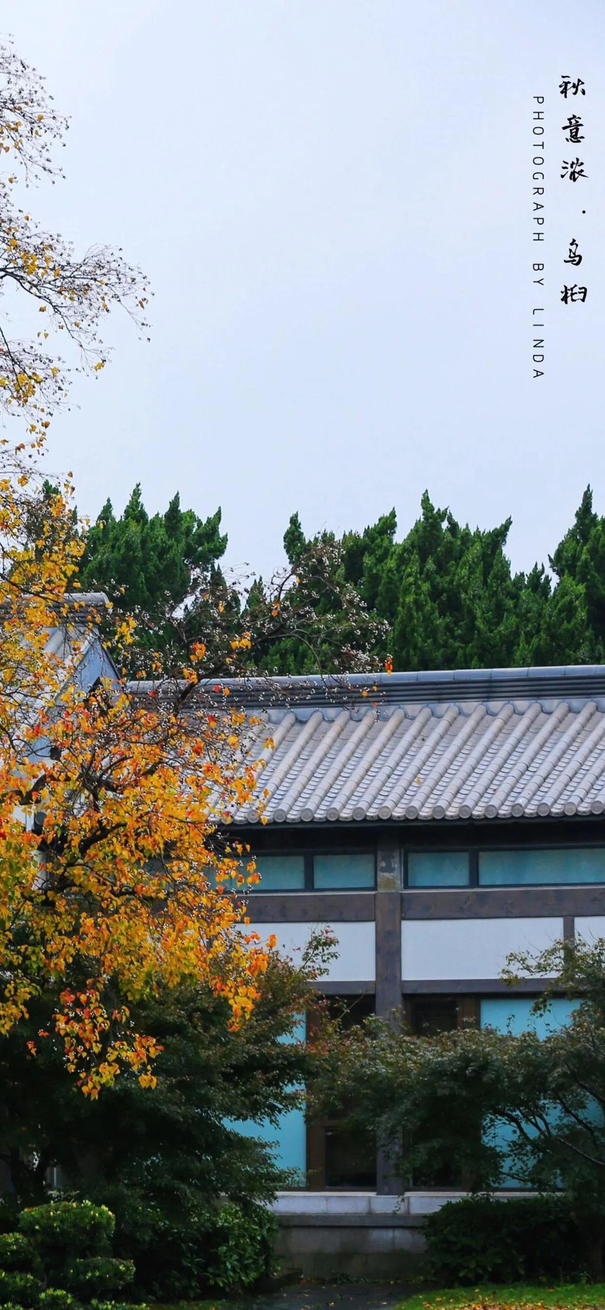 鎴戜滑缁堜細涓婂哺闃冲厜鏄庡獨,鎴戜滑缁堝皢涓婂哺闃冲厜涓囬噷椴滆姳婊″湴