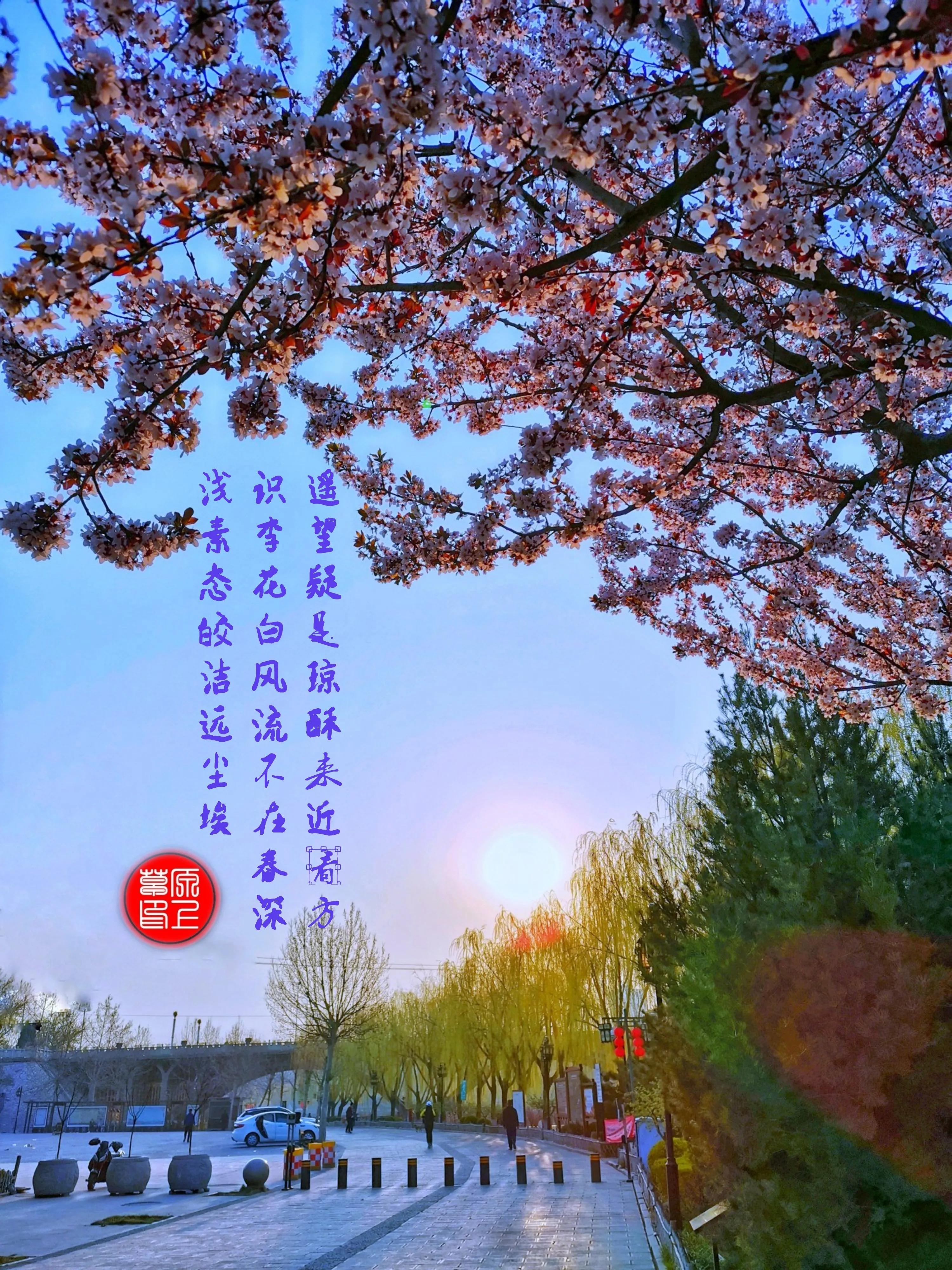 百花酿诗韵芬芳留人间（一）