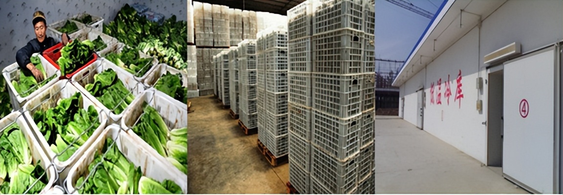 涔愬帹椋熷搧鍟嗚锤,瑗垮畨涔愬帹鍟嗚锤鏈夐檺鍏徃