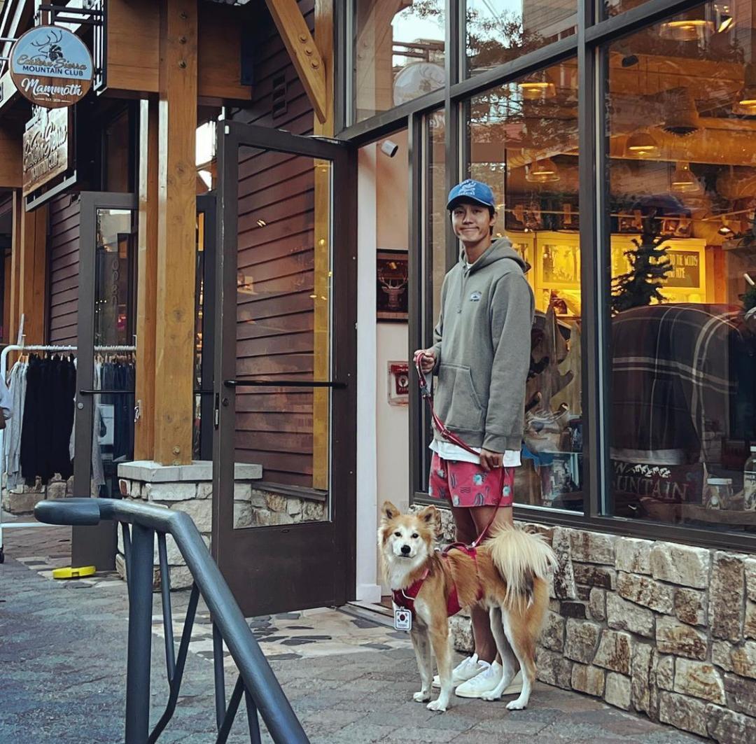 两人一狗三餐四季领证,两人一狗三餐四季视频