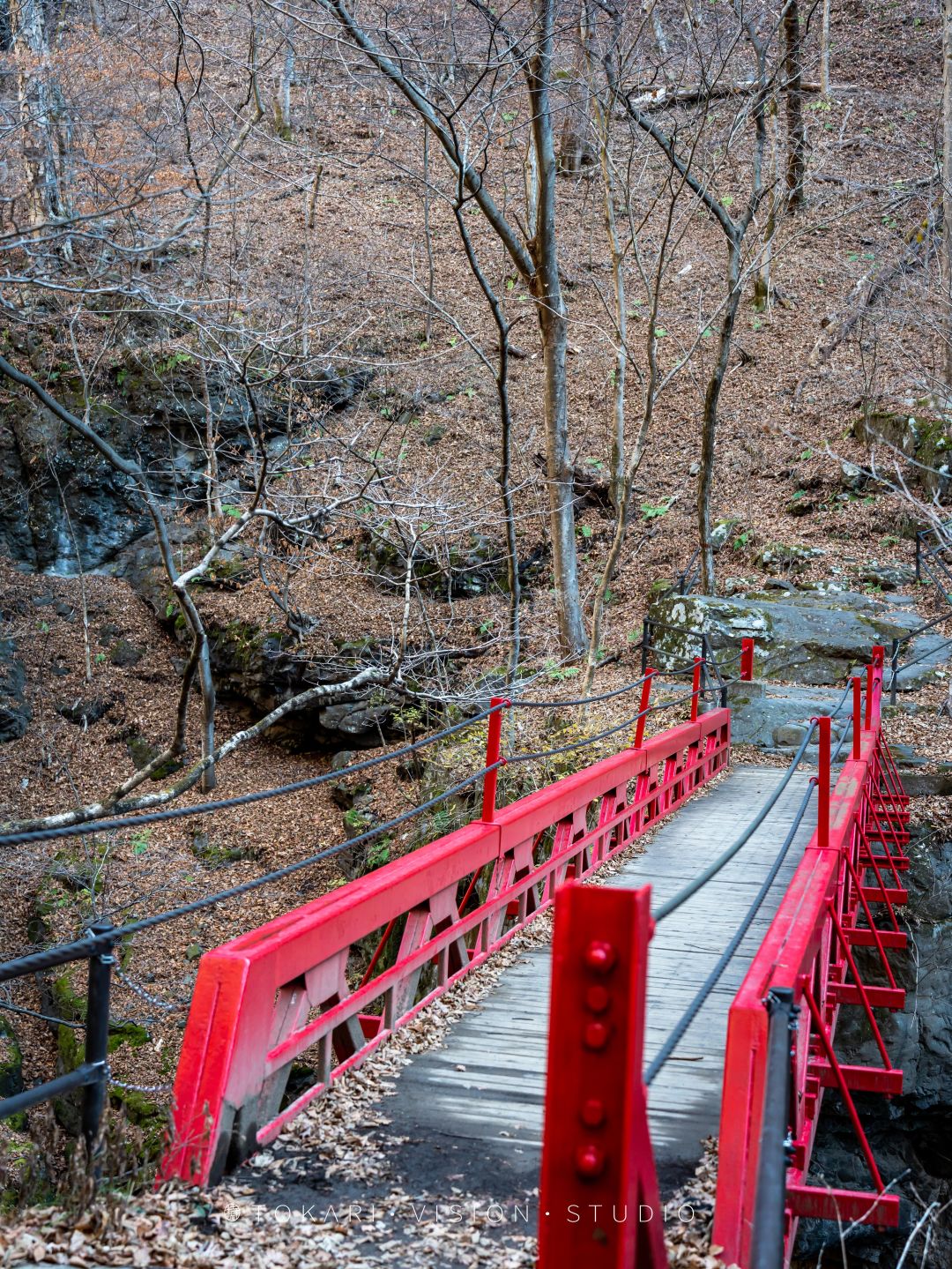 日本旅行跟团游东京北海道,日本旅行中文团