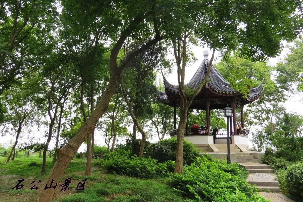 苏州旅游团七日游,苏州旅游团1日游