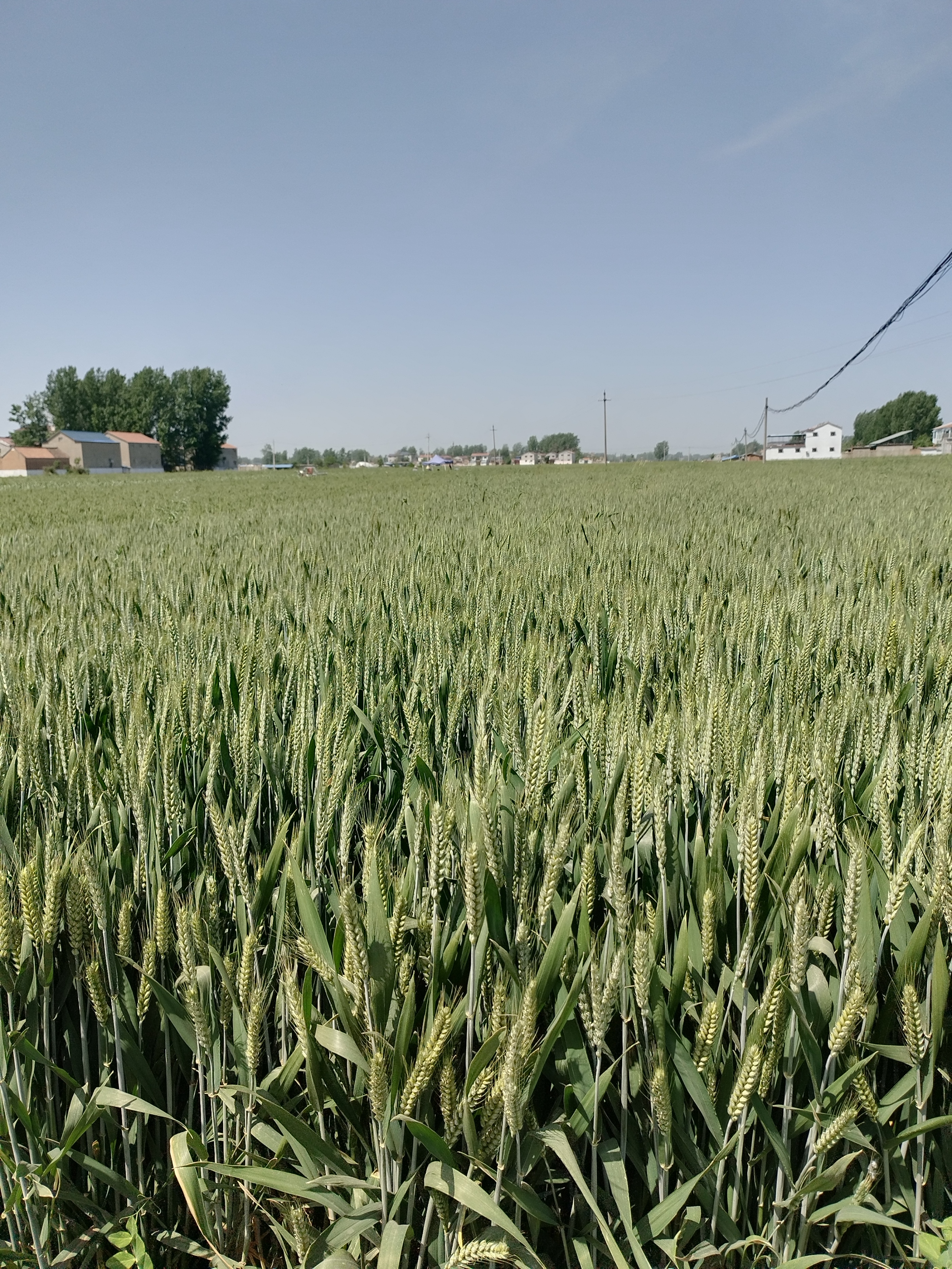 买五菱缤果顶配,五菱缤果plus多少钱