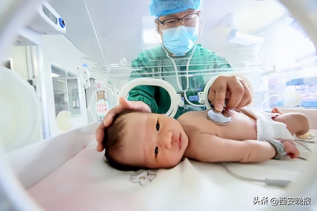 人口老龄化与人口出生率,人口出生率与人口死亡率图