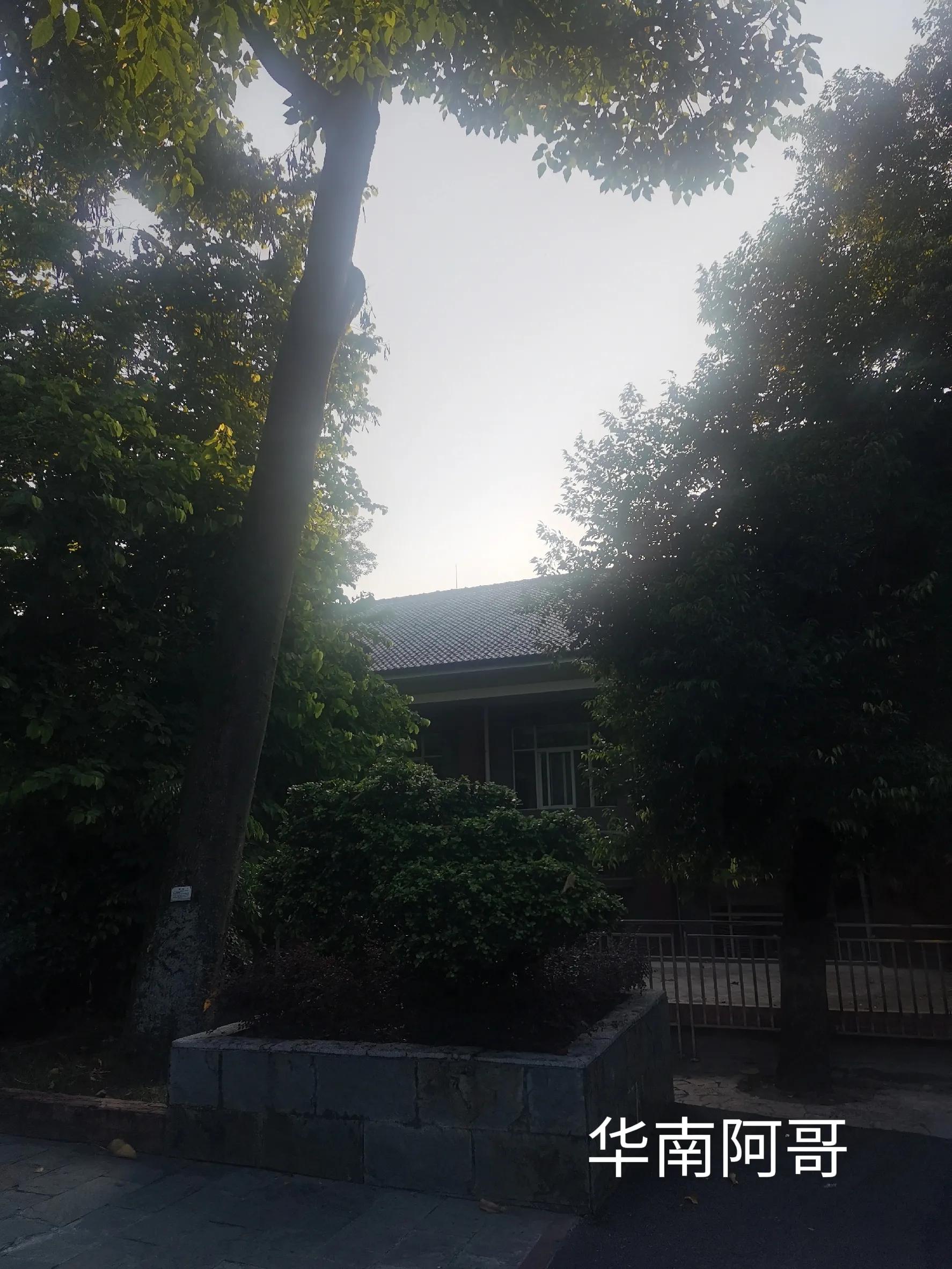 小说大山里的爱情,大山里的爱情小品