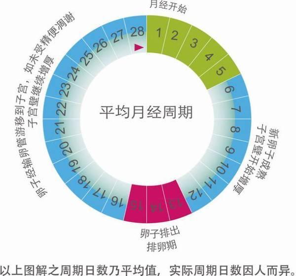 人类全身褪去毛发后,为什么只留下头发、阴毛和腋毛?