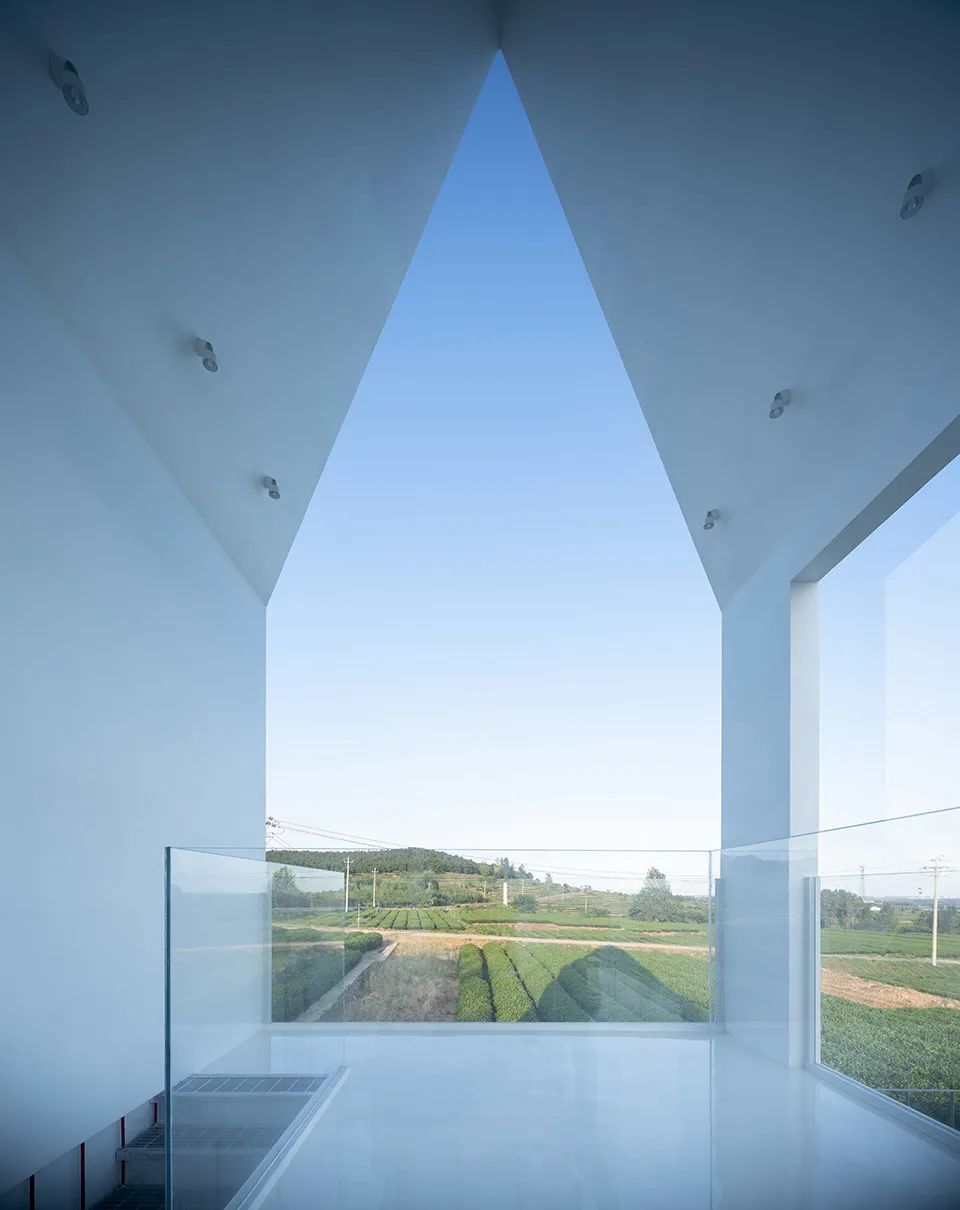 中国茶申遗成功吗,中国茶申遗成功44项名单