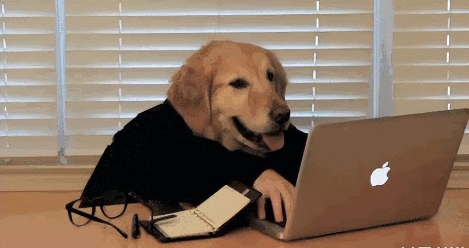 美的冰箱与海尔冰箱哪种冰箱好点,海尔冰箱美的冰箱美菱冰箱哪个好