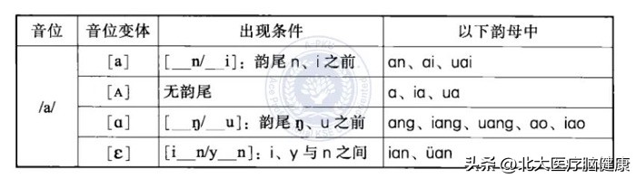 语言学国际音标48个的标准读法,国际音标发音及教学技巧学习心得
