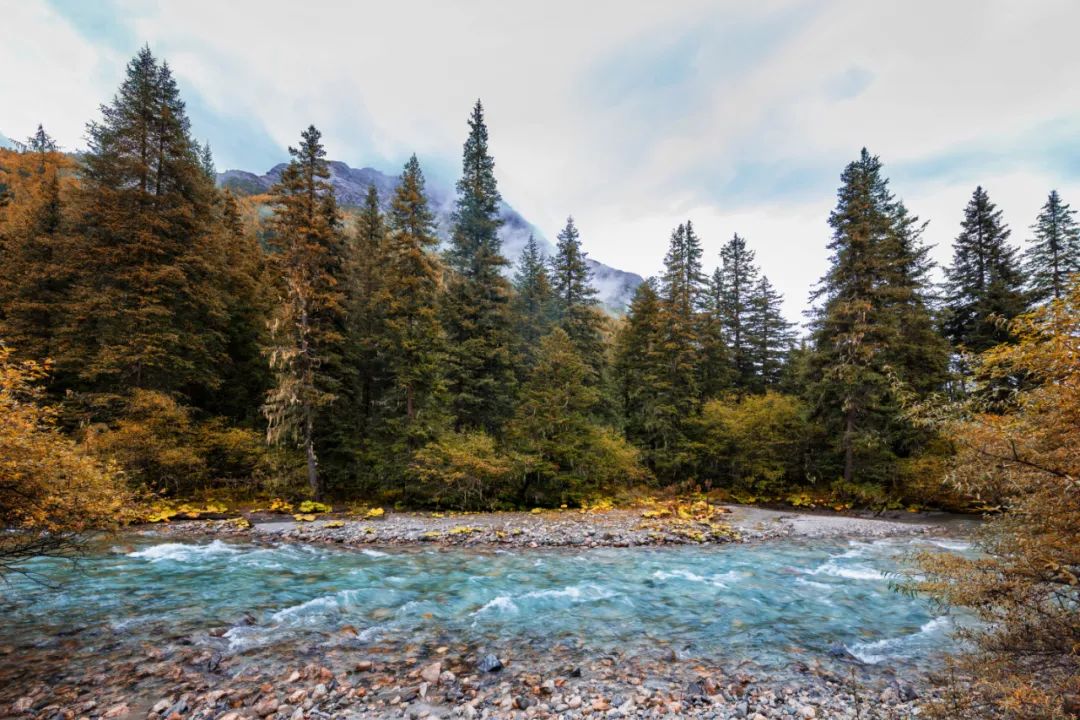 不到3000玩7天！“全网呼声最高”的冬日游天花板，非它莫属！